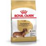 ROYAL CANIN Bassotto Adult Alimento Completo per Cani di Razza Adulti e Maturi Oltre 10 Mesi di Età 1.5KG