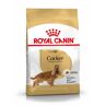 ROYAL CANIN Cocker Adult Alimento Completo per Cani di Razza Adulti e Maturi Oltre 12 Mesi di Età 3KG