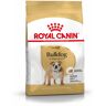 ROYAL CANIN Bulldog Adult Alimento completo per cani di razza adulti e maturi oltre 12 mesi di età 12KG