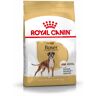 ROYAL CANIN Boxer Adult Alimento Completo per Cani di Razza Adulti e Maturi Oltre 15 Mesi di Età 12KG