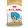 ROYAL CANIN Golden Retriever Puppy Alimento completo per cuccioli di razza fino a 15 mesi 3KG