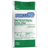 FORZA10 Cat Intestinal Colon 2KG
