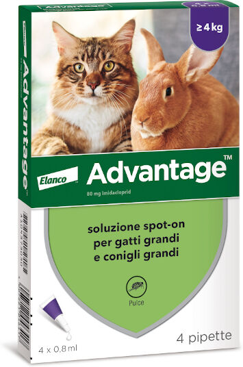 Elanco Italia Spa Advantage 4 Pipette 0,8ml Spot-On