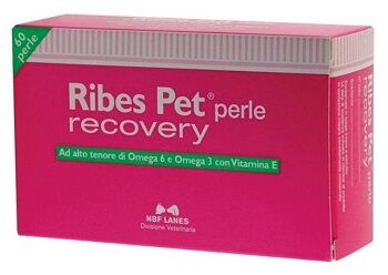 N.B.F. Lanes Srl Ribes Pet Recovery Blister 60 Perle