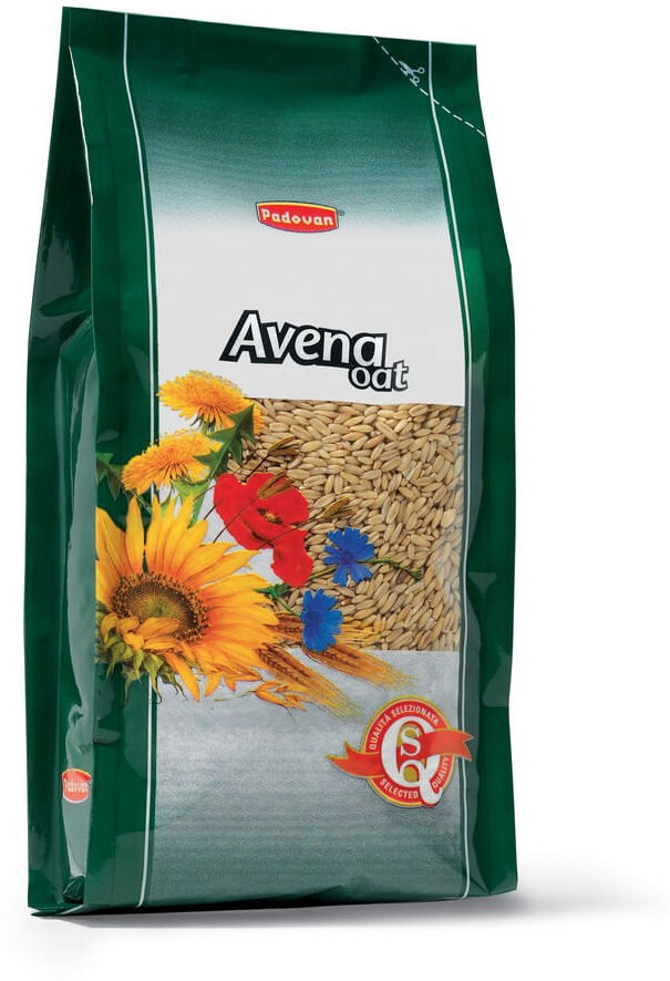 PADOVAN Avena Decorticata 1KG