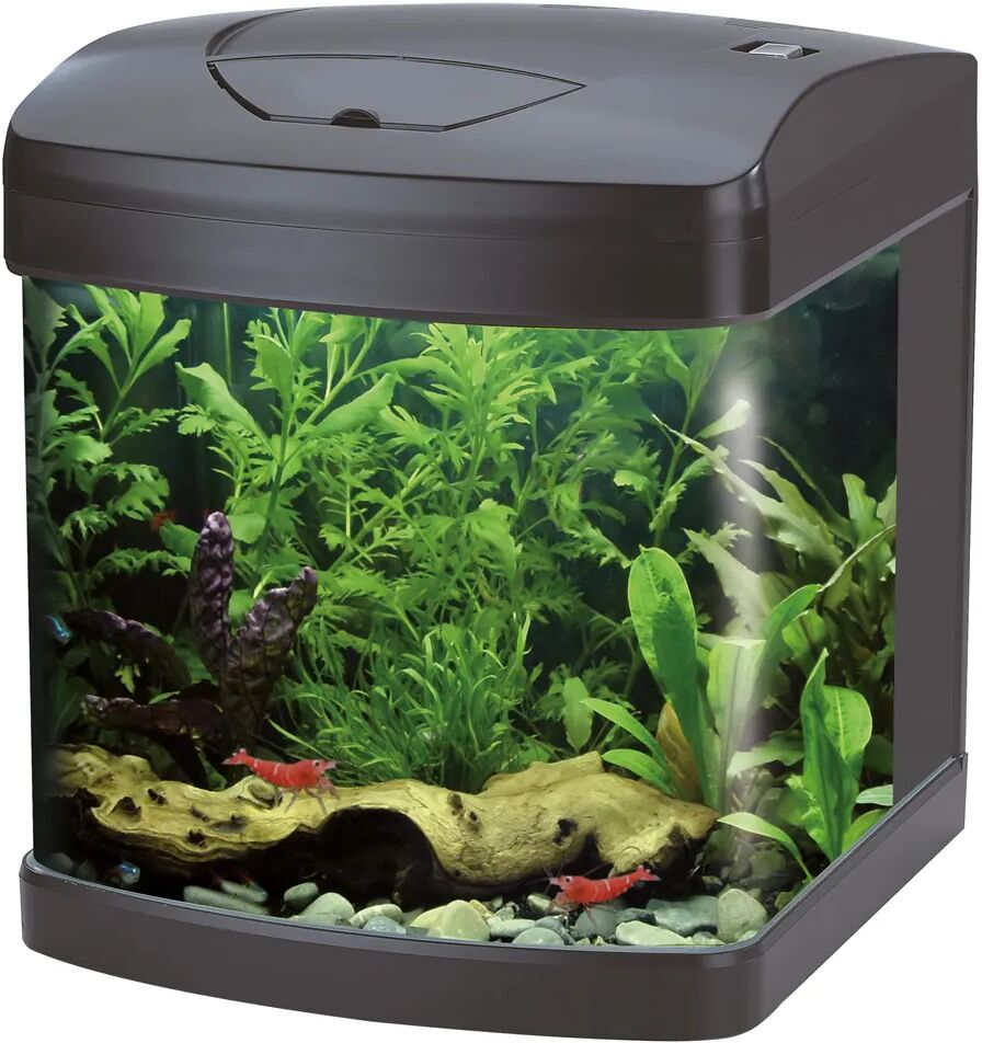 AMTRA Acquario Xcube Black Led 26L