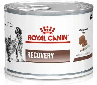 ROYAL CANIN V-Diet Recovery Cane e Gatto 195G