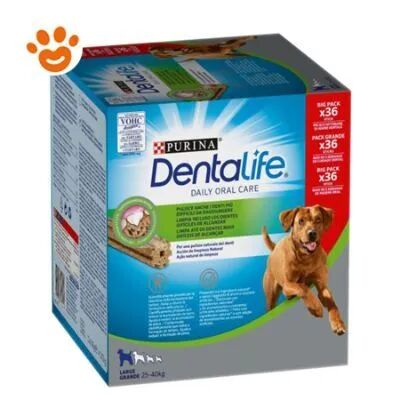 DENTALIFE Purina  Dog Large 36 PZ