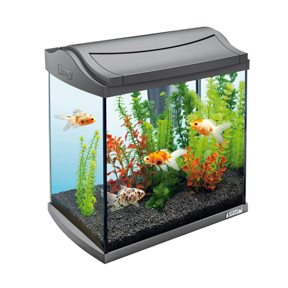 TETRA Aquaart Discovery Line Led 30l 30L