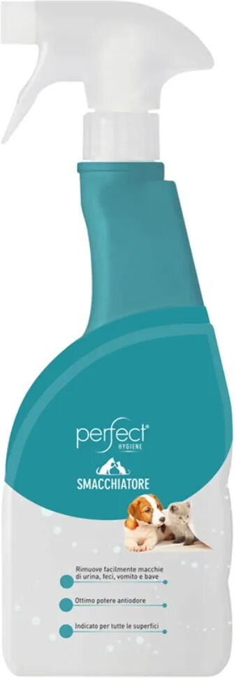 PERFECT Smacchiatore Spray 500ML