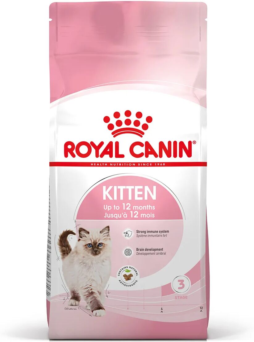 ROYAL CANIN Kitten Alimento completo per gattini fino a 12 mesi di età 10KG