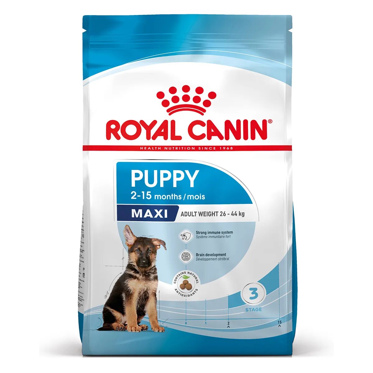 ROYAL CANIN Maxi Puppy Alimento completo per cuccioli di taglia grande Fino a 15 mesi di età 4KG