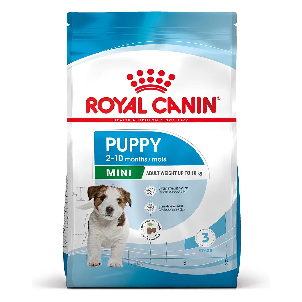 ROYAL CANIN Mini Puppy Alimento completo per cuccioli di taglia piccola Fino a 10 mesi di età 800G