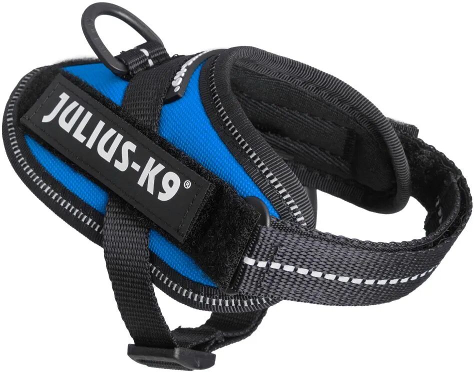 JULIUS K9 Pettorina Julius-K9 IDC Powerharness Blu 3XS