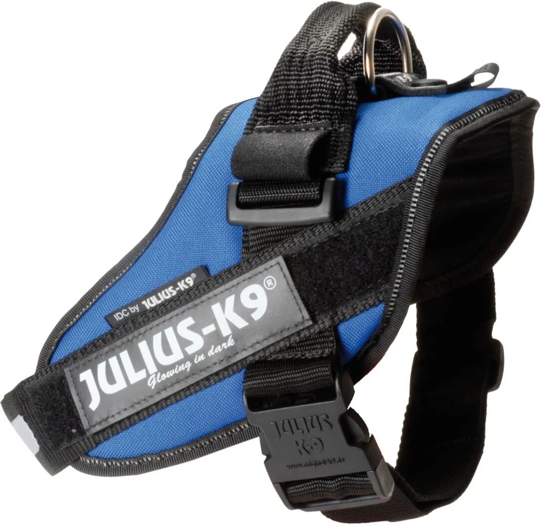 JULIUS K9 Pettorina Julius-K9 IDC Powerharness Blu M