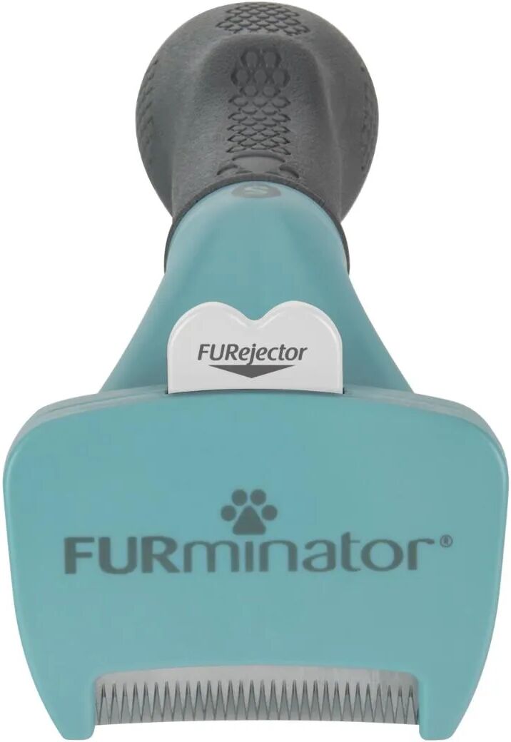 FURMINATOR per Gatti a Pelo Corto S