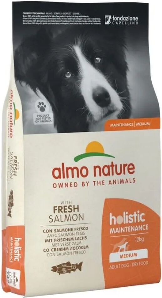 ALMO NATURE Holistic Maintenance Medium Salmone 12KG