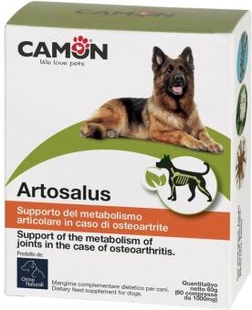 Camon Artosalus Compresse