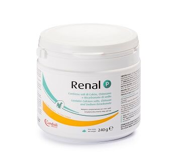 Renal Candioli  P Polvere 240 g