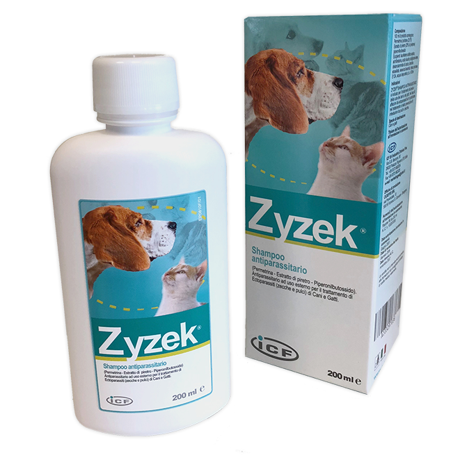 Icf Zyzek Shampoo 200Ml