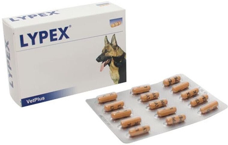 Vet Plus Lypex 60 Capsule