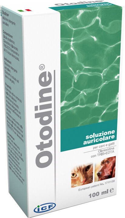 Otodine Detergente Auricolare 100 ml