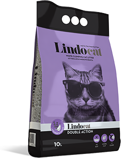 LINDOCAT DOUBLE ACTION 10 LITRI