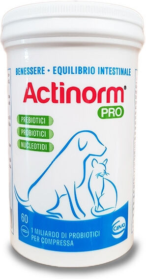 Ceva salute animale spa Actinorm Pro Cani/gatti 60 Compresse