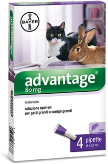 Advantage Spot On 0,8ml Trattamento Pulci Conigli E Gatti 4 Pipette