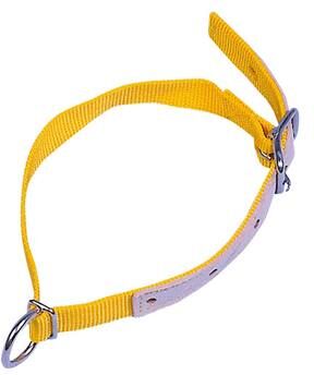 Collare per pecore, in nylon 60 cm, giallo