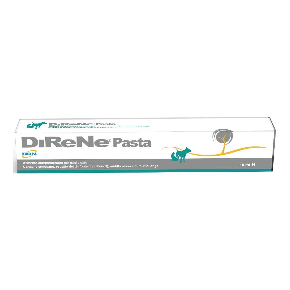 Nextmune Italy Srl Direne Pasta 15ml