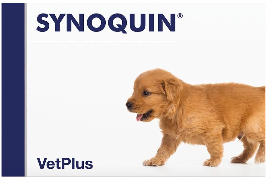 Vetplus Ltd Synoquin Growth 60 Cpr