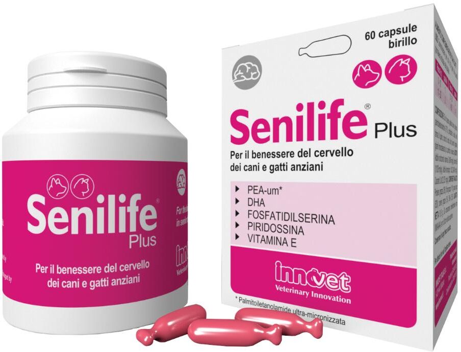 Innovet Italia Srl Senilife Plus 60 Cps