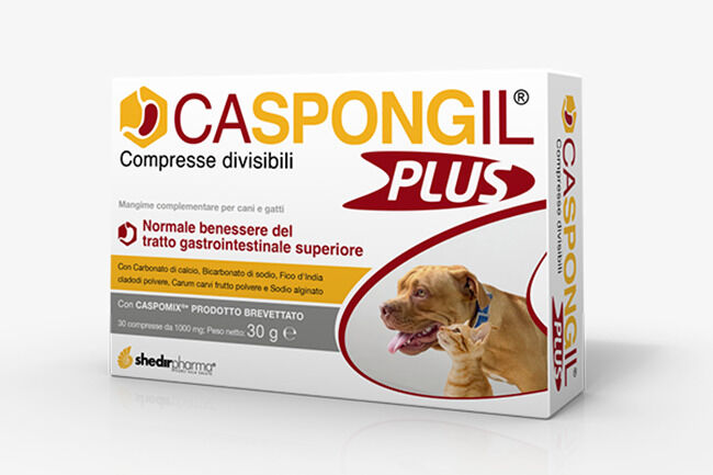 SHEDIR PHARMA Srl Unipersonale CASPONGIL Plus 30 Cpr