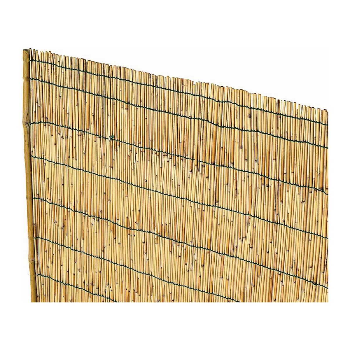 Arella In Cannette Di Bambu' Pelato 2x3 M Ø Circa 4-5 Mm Con Filo Nylon