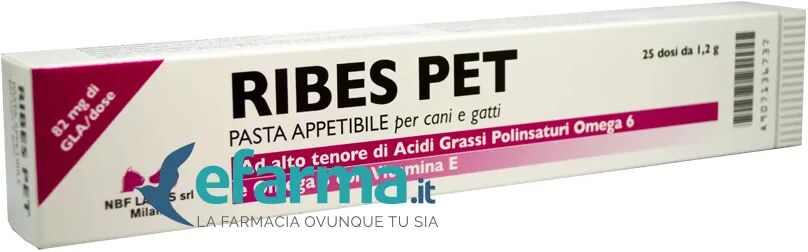 Nbf Lanes Ribes Pet Pasta Appetibile Integratore Dermatiti Siringa da 30 g