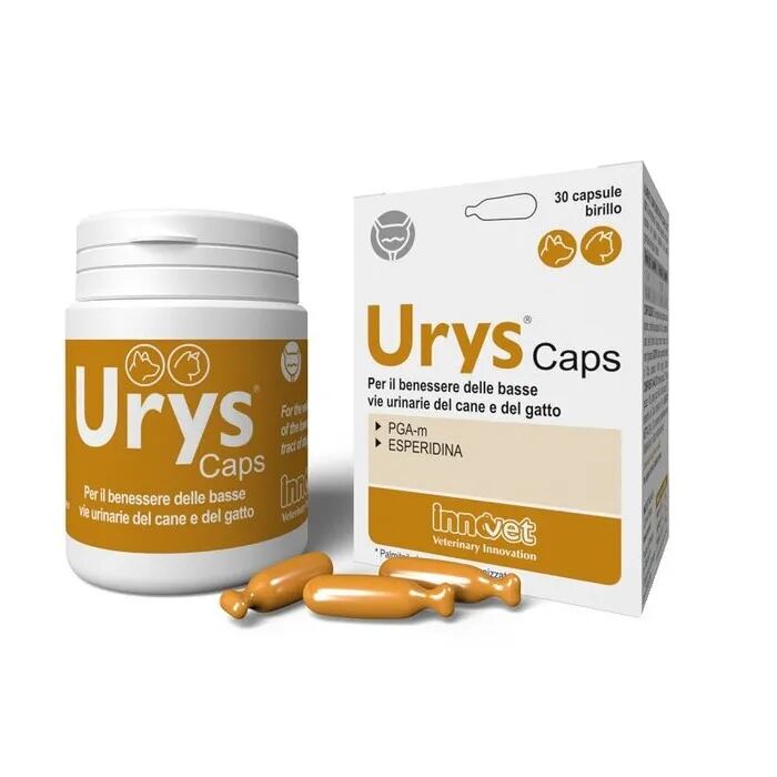 Innovet Urys Caps Integratore Vie Urinarie Cane e Gatto 30 Capsule Birillo