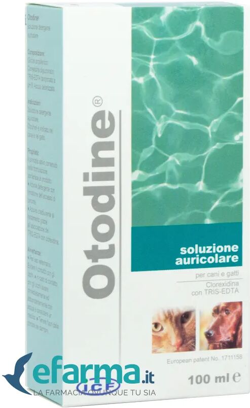 OTODINE Icd Detergente Auricolare Cani E Gatti 100ml