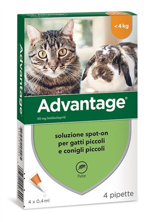 ADVANTAGE 40 mg Soluzione Antiparassitaria Spot-On Gatti e Conigli Piccoli 4 Pipette