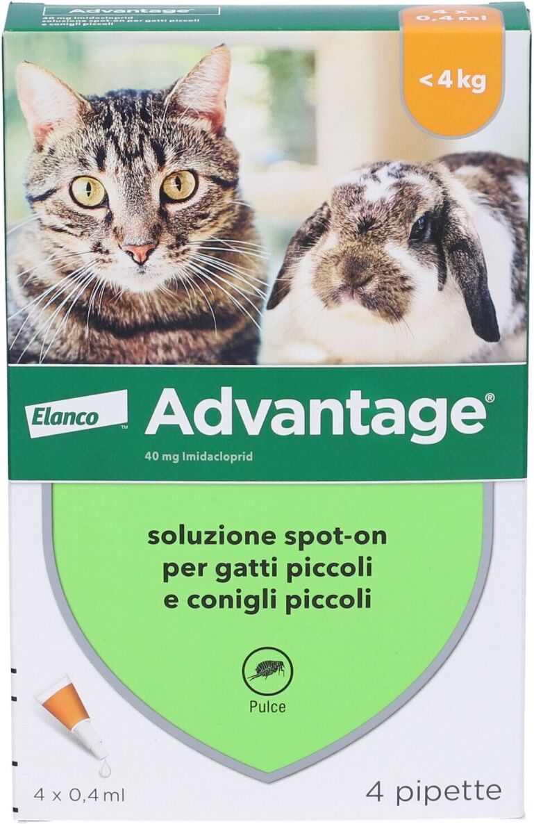 ADVANTAGE Antiparassitario Spot-On Gatti E Conigli Piccoli Peso Fino a 4 kg 4 Pipette 0,4 ml