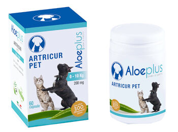 hdr Artricur pet 60 cps(0-10kg)