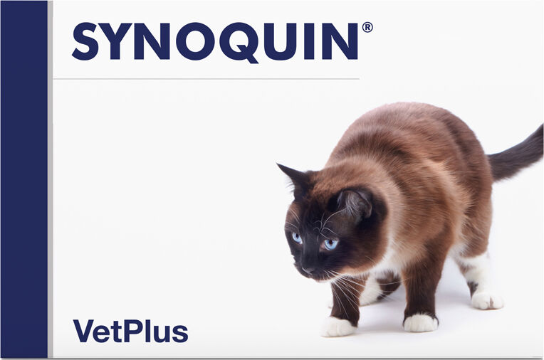 VETPLUS LTD Synoquin efa cat 30 cps