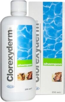 ICF Farmaceutici Linea Animali Domestici Clorexyderm Shampoo Cani E Gatti 250 Ml