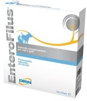 DRN Enterofilus 12 Fiale Da 10ml