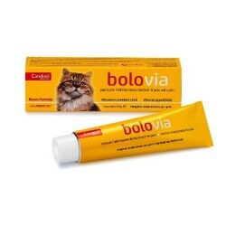 Candioli Bolo Via Tubo 50g