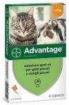 Bayer ADVANTAGE 40 mg Spot on Gatti e Conigli piccola taglia 4 pipette