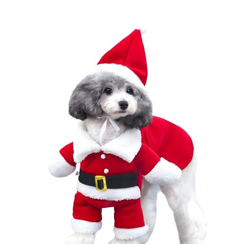 DELIFUR kerstkostuums voor huisdieren, hondenpak met pet, kerstmanpak voor hond, hoodies, kerstkostuums voor katten, feestpak, warm in de winter (Rood, L)