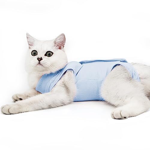 Dotoner Cat Professionele Herstelpak voor Buikwonden of Huidziekten, E-kraag Alternatief voor Katten en Honden Na Chirurgie Thuiskleding (L, Blauw)