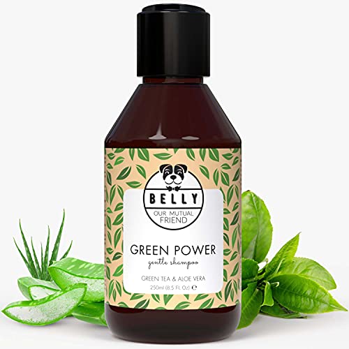 BELLY OUR MUTUAL FRIEND Belly Green Power Groene Thee Hondenshampoo I Verzorgende shampoo ook perfect als Puppy Shampoo voor Honden I Met Green Tea en Aloe Vera, Honden Shampoo, Puppy Shampoo, Langhaar Hondenshampoo 250ml