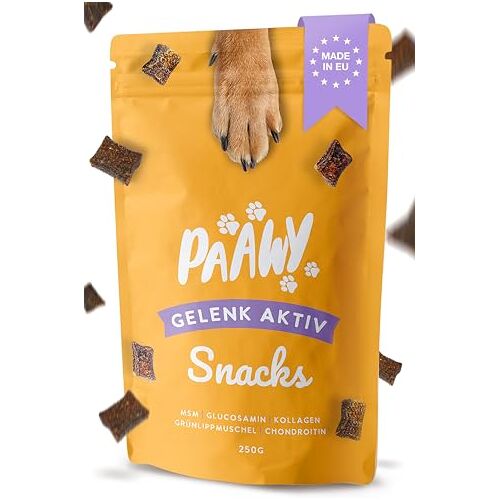 paawy Gewrichttabletten voor honden, 250 g, groenlipmossel, MSM, glucosamine en chondroïtine, artrose hond, ondersteunt de gewrichten, zalm, actieve snacks